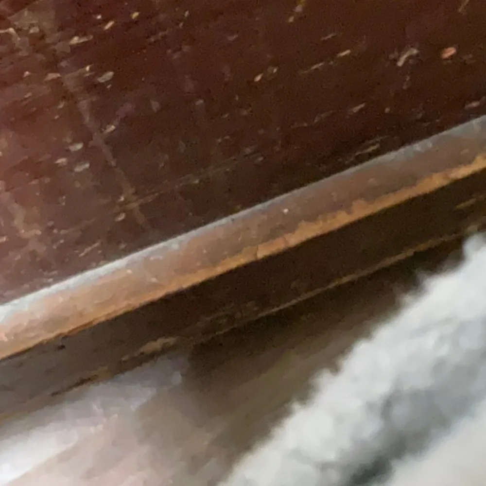 Robin Lehman glass art turtles - Picture 4 of 6